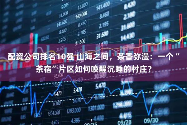 配资公司排名10强 山海之间，茶香弥漫：一个“茶宿”片区如何唤醒沉睡的村庄？