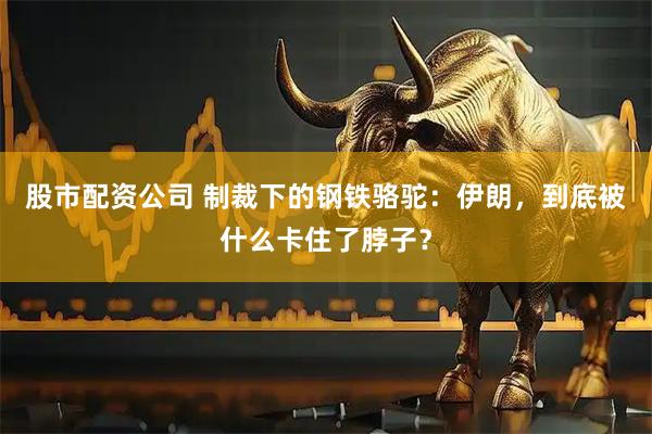股市配资公司 制裁下的钢铁骆驼：伊朗，到底被什么卡住了脖子？