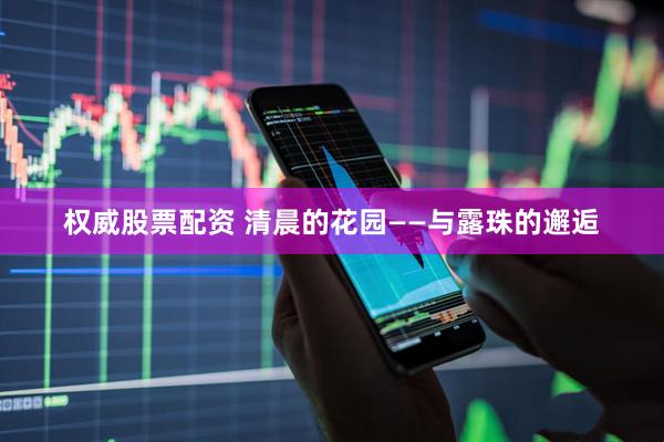 权威股票配资 清晨的花园——与露珠的邂逅